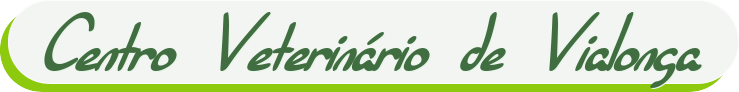 CVV